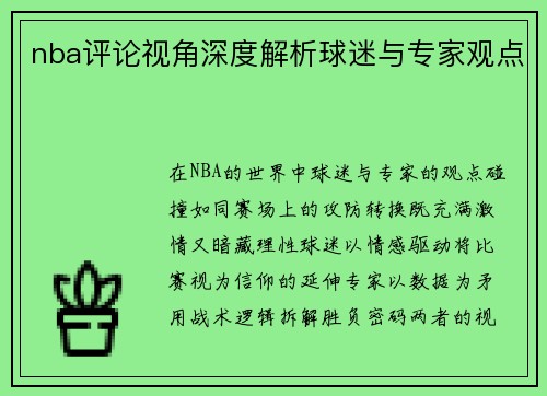 nba评论视角深度解析球迷与专家观点