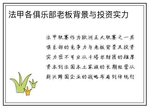 法甲各俱乐部老板背景与投资实力