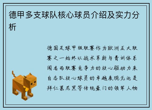 德甲多支球队核心球员介绍及实力分析