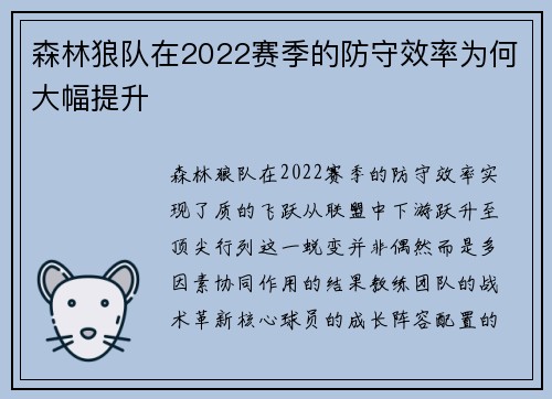 森林狼队在2022赛季的防守效率为何大幅提升